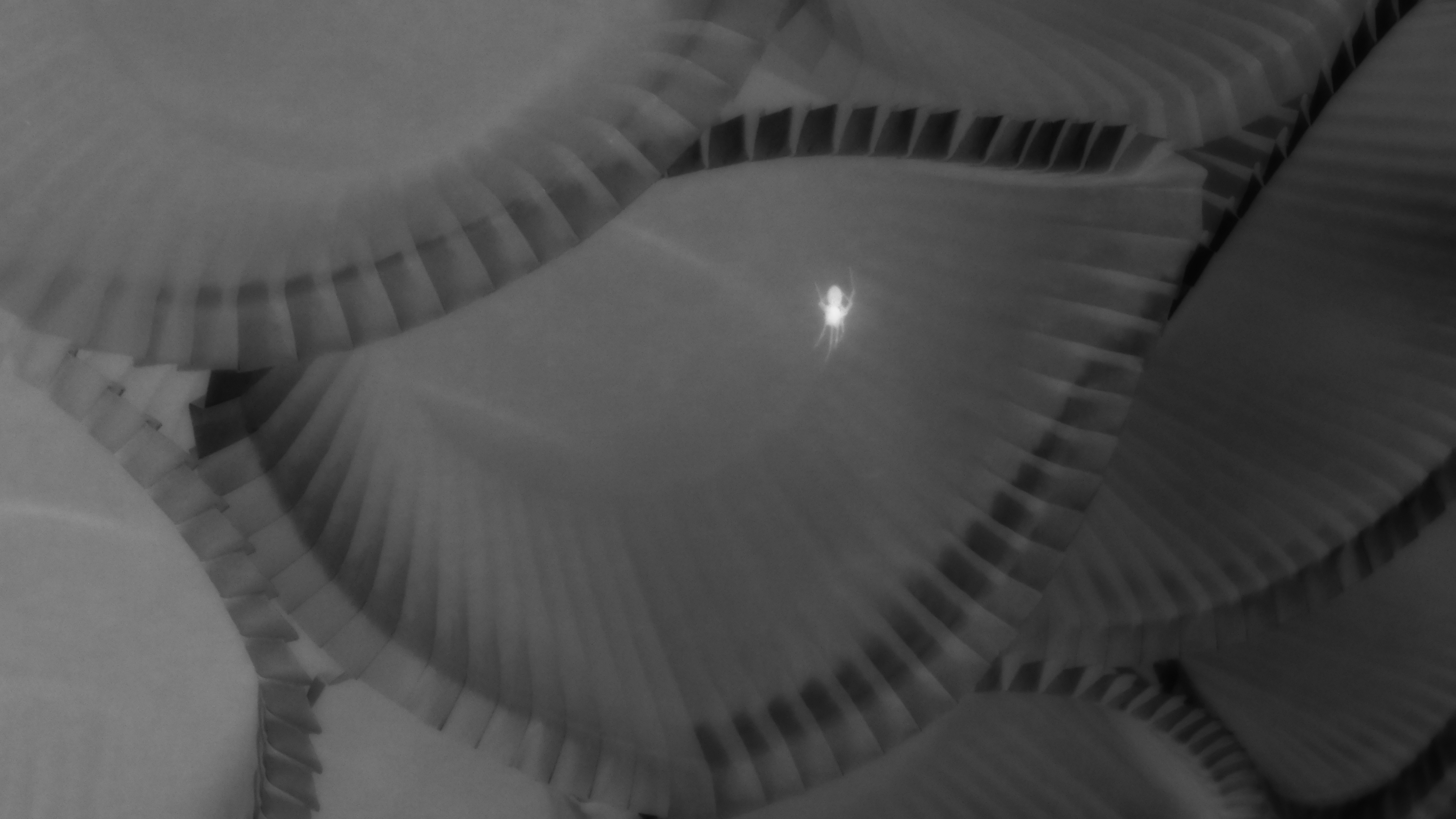 spin